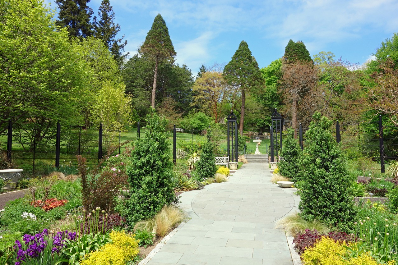 Morris Arboretum, Filadelfija, Pennsylvania, Augalai, Gėlės, Medžiai, Vasara, Pavasaris, Gamta, Lauke