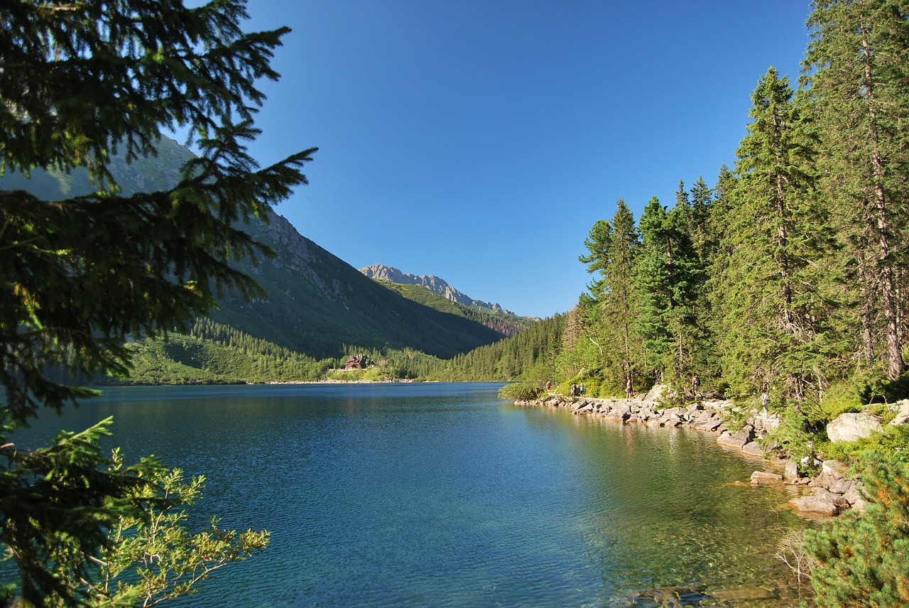 Morskie Oko, Tatry, Lenkų Tatros, Aukštas Tatras, Ežeras, Pušis, Spygliuočiai, Gamta, Vasara, Nemokamos Nuotraukos