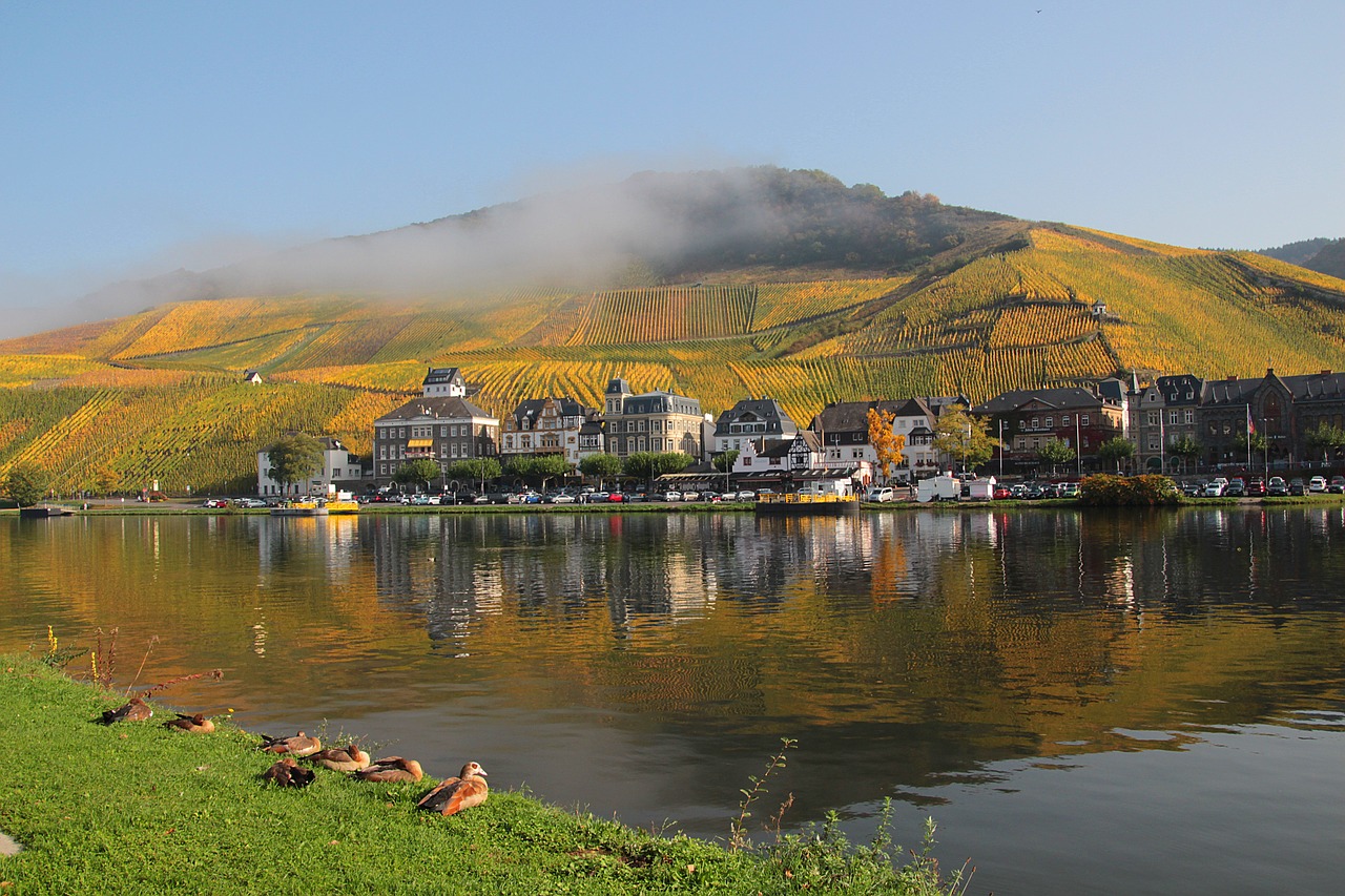 Mosel, Vynuogynai, Veidrodis, Kraštovaizdis, Vokietija, Vynas, Sachsen, Upė, Gamta, Vynuogių Auginimas