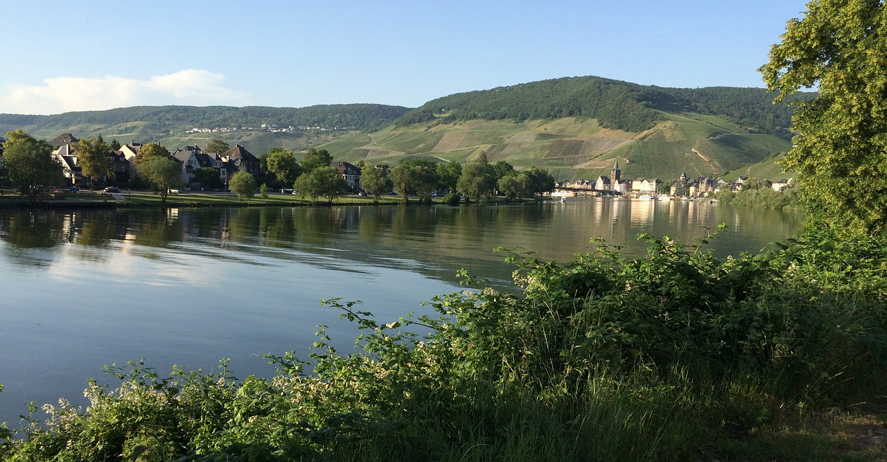 Mosel, Bernkastel, Kues, Vynas, Vanduo, Upė, Vasara, Nuotaika, Tylus, Poilsis