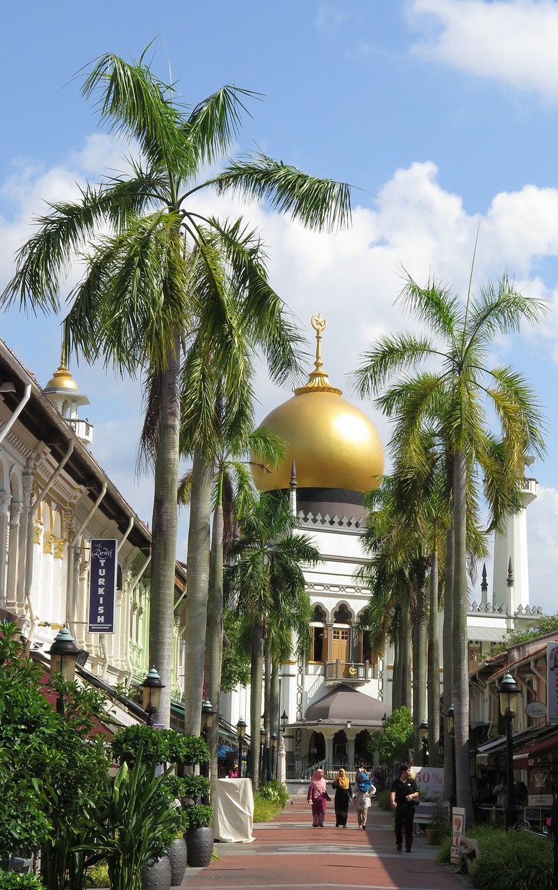 Singapūras, Sultono Mečetė, Musulmonas, Nemokamos Nuotraukos,  Nemokama Licenzija