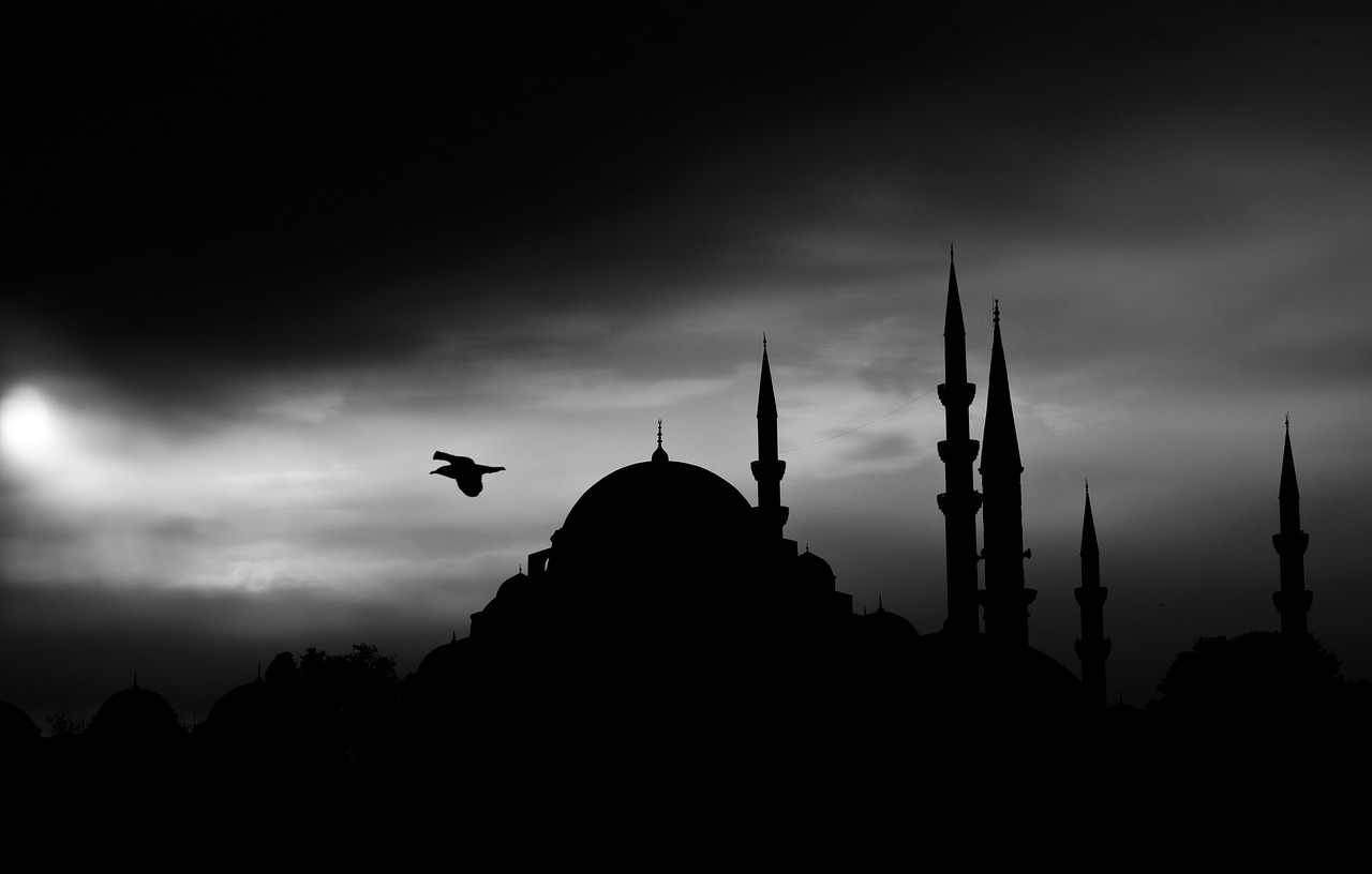 Cami, Minaretas, Istanbulas, Islamas, Musulmonas, Religija, Yra, Architektūra, Artimieji Rytai, Žilimaniečiai