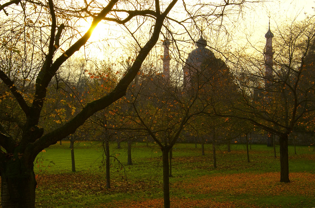 Mečetė, Schwetzingen, Minaretas, Schlossgarten, Pilis, Pilies Parkas, Romantiškas, Gražus, Medžiai, Twilight