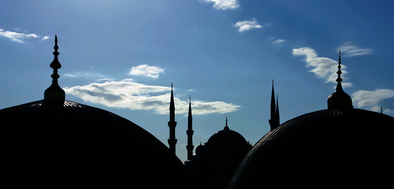 Mečetė, Sultanahmet, Istanbulas, Turkija, Kraštovaizdis, Mėlynas, Kupolas, Architektūra, Atvirkštinė Lemputė, Nemokamos Nuotraukos