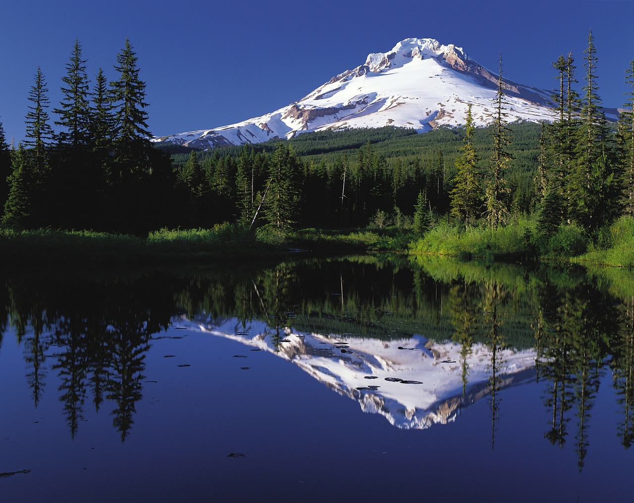 Kalno Dangtis, Oregonas, Vulkanas, Stratovolcano, Usa, Amerikietis, Peizažas, Sniegas, Sniego Kapitonas, Miškas