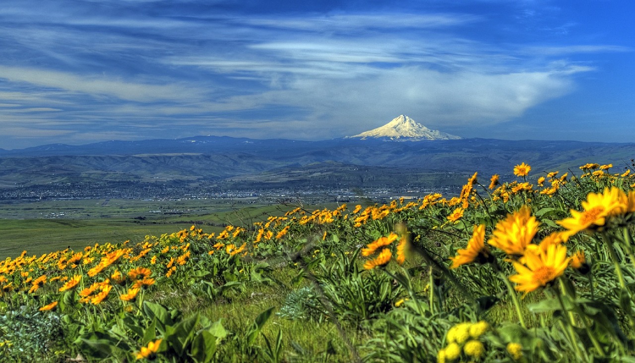 Kalno Dangtis, Kraštovaizdis, Vaizdingas, Dykuma, Lauke, Gėlės, Debesys, Dangus, Dalles, Oregonas