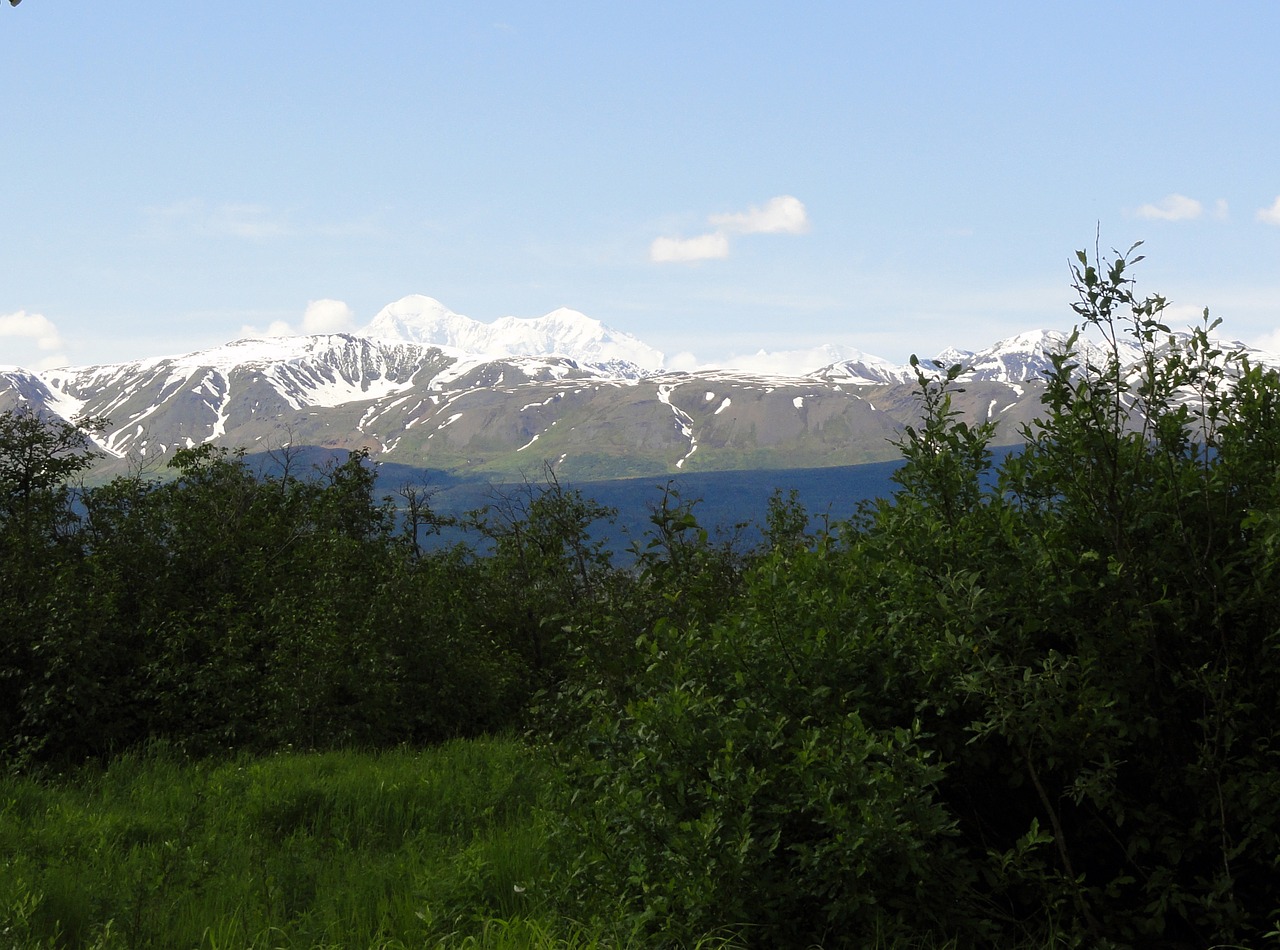 Kalnas Mckinley, Alaska, Denali, Nemokamos Nuotraukos,  Nemokama Licenzija