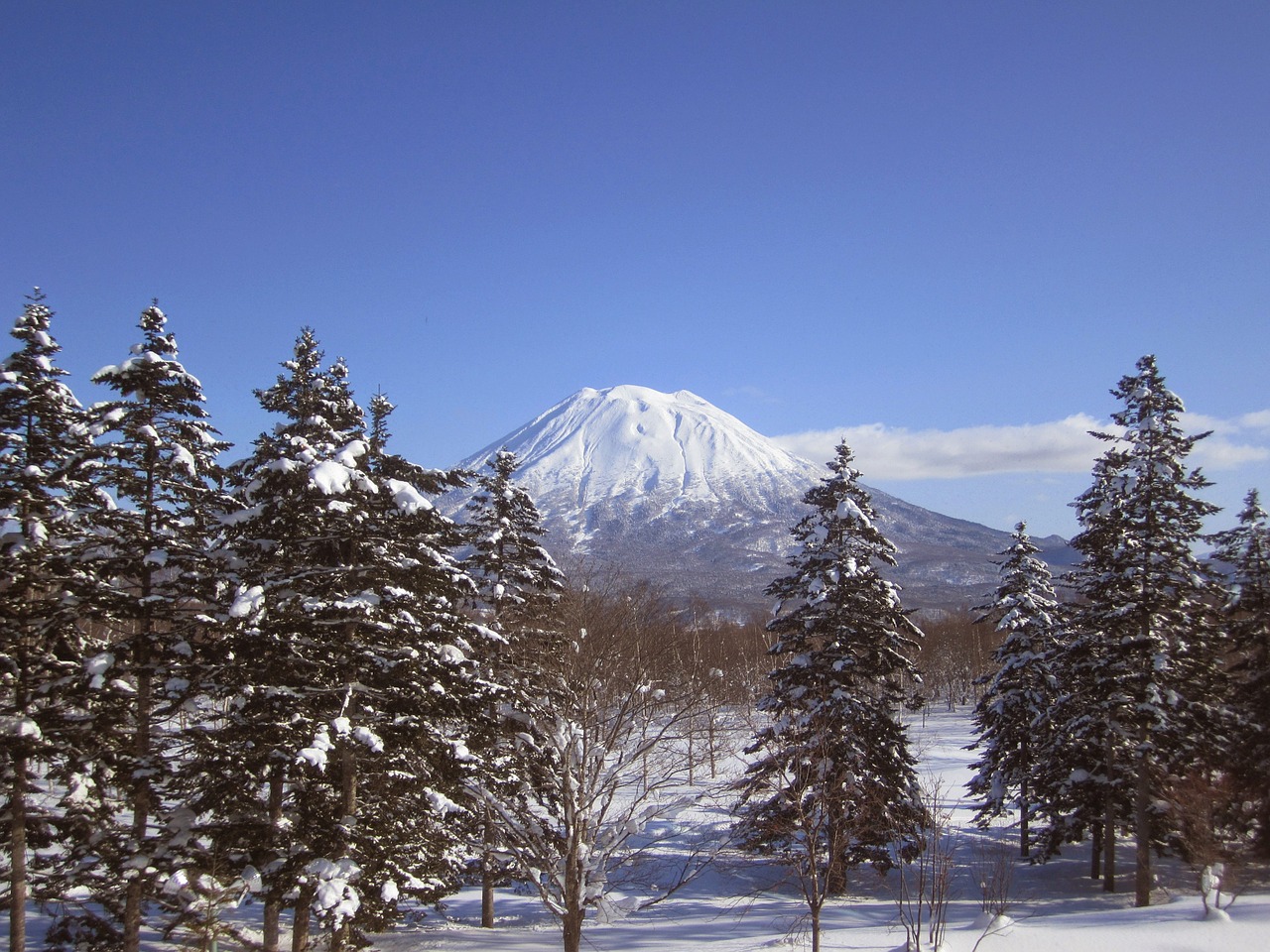 Kalno Yotei,  Niseko,  Japonija,  Slidinėjimas,  Sniegas,  Snieglentė,  Miltelių Sniegas,  Žiema,  Slidinėjimas,  Kalnai