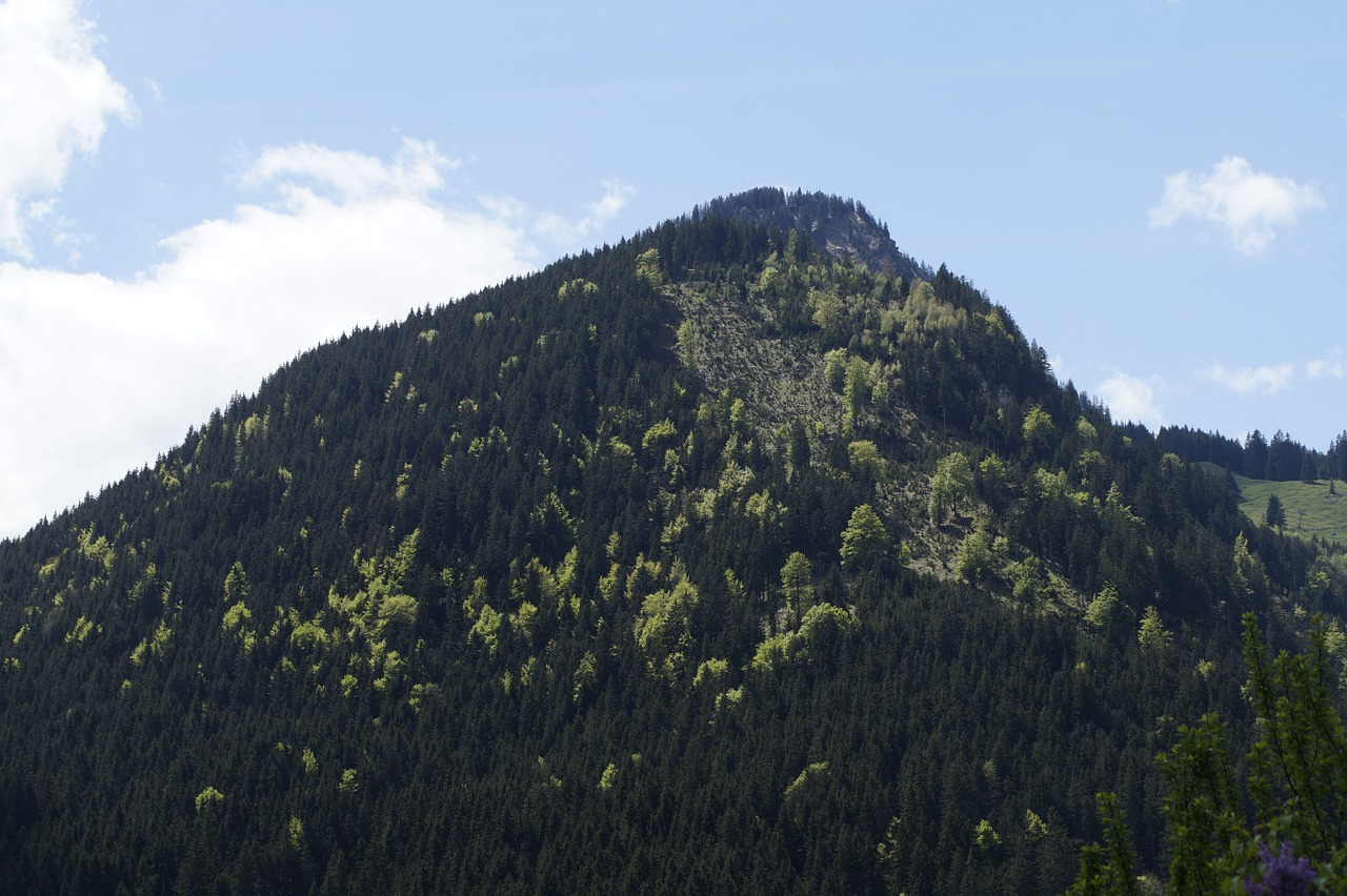 Kalnas, Allgäu, Alpių, Kraštovaizdis, Žygiai, Gamta, Perspektyva, Kalnai, Miškas, Nemokamos Nuotraukos