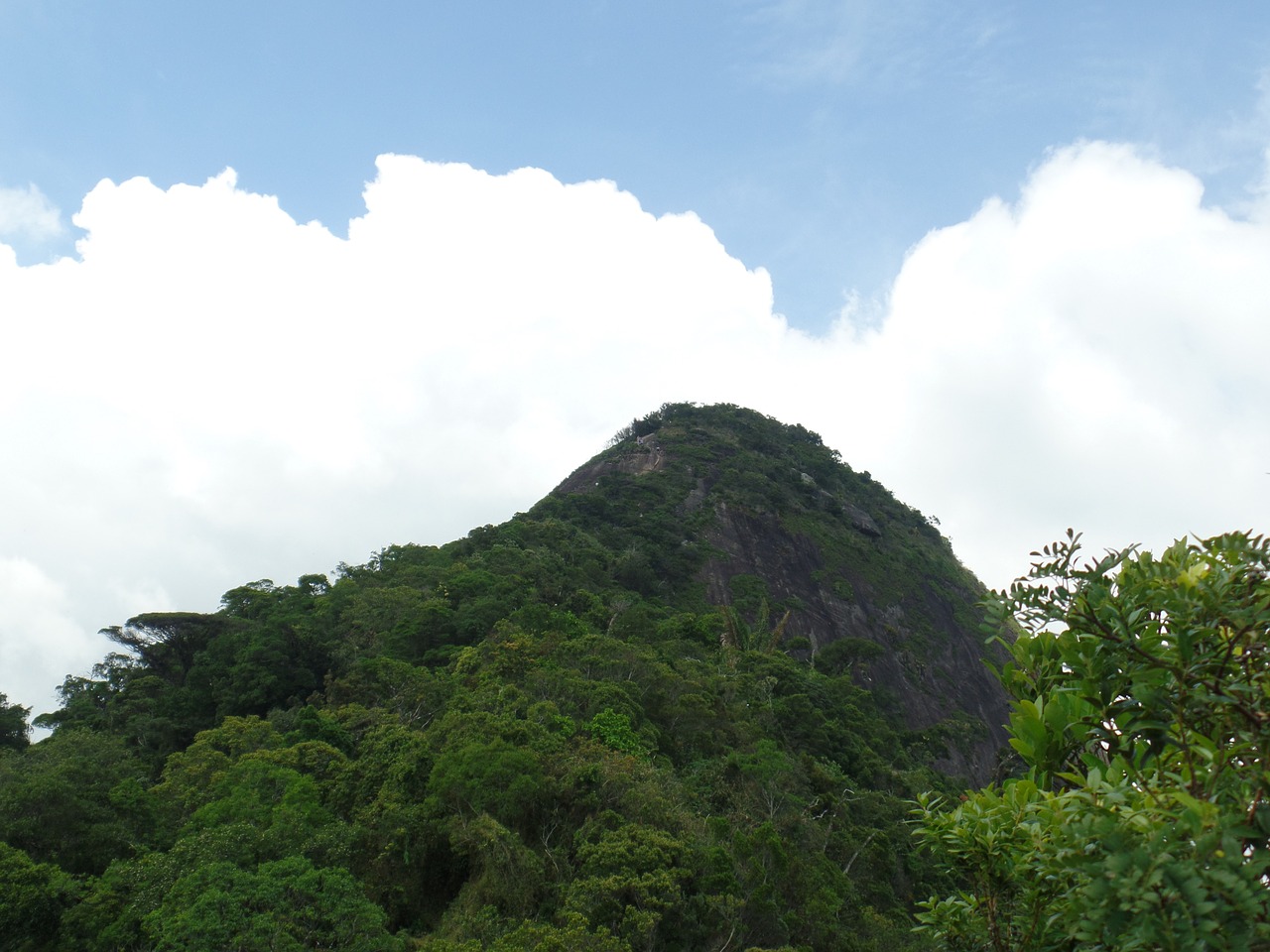 Kalnas, Rio De Žaneiras, Tijuca Miškas, Nemokamos Nuotraukos,  Nemokama Licenzija