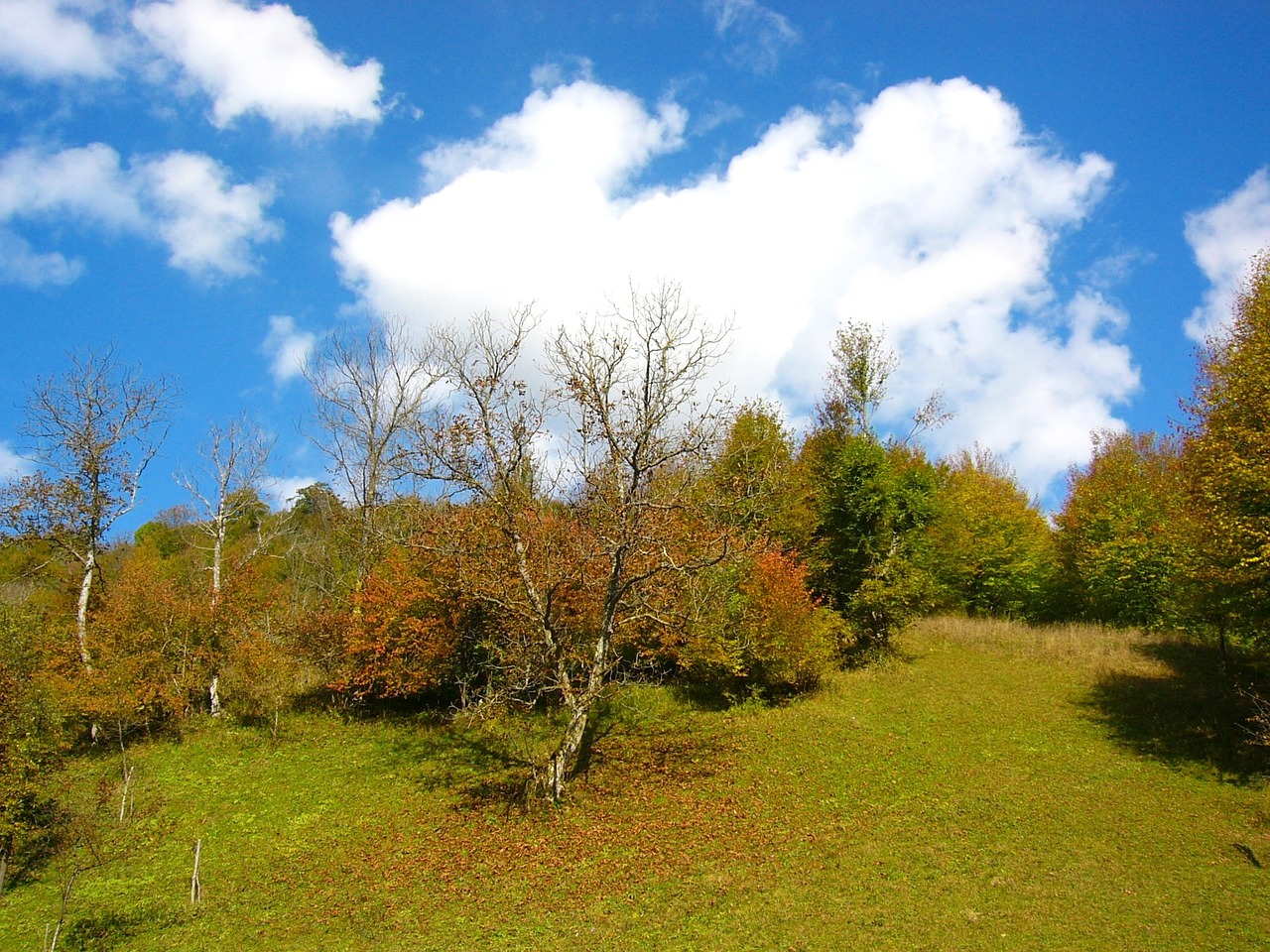 Kalnas, Ribaritsa, Stara Planina, Bulgarija, Gamta, Peržiūros, Nemokamos Nuotraukos,  Nemokama Licenzija