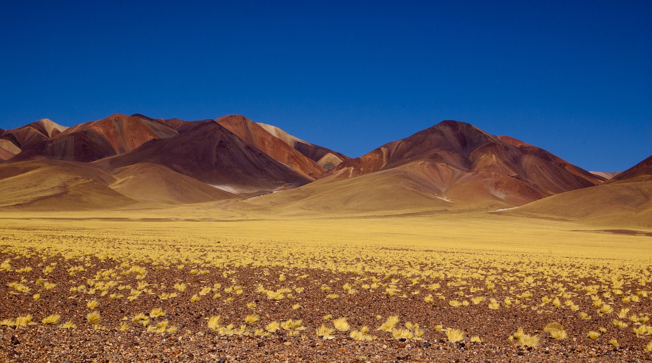 Kalnas, Argentina, Gamta, Andes, Kraštovaizdis, Cordillera, Nemokamos Nuotraukos,  Nemokama Licenzija