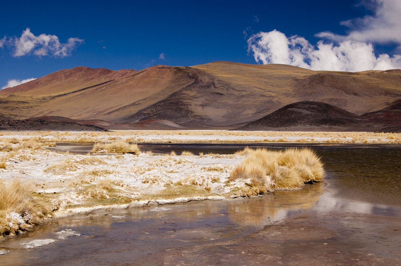 Kalnas, Argentina, Gamta, Andes, Kraštovaizdis, Cordillera, Nemokamos Nuotraukos,  Nemokama Licenzija