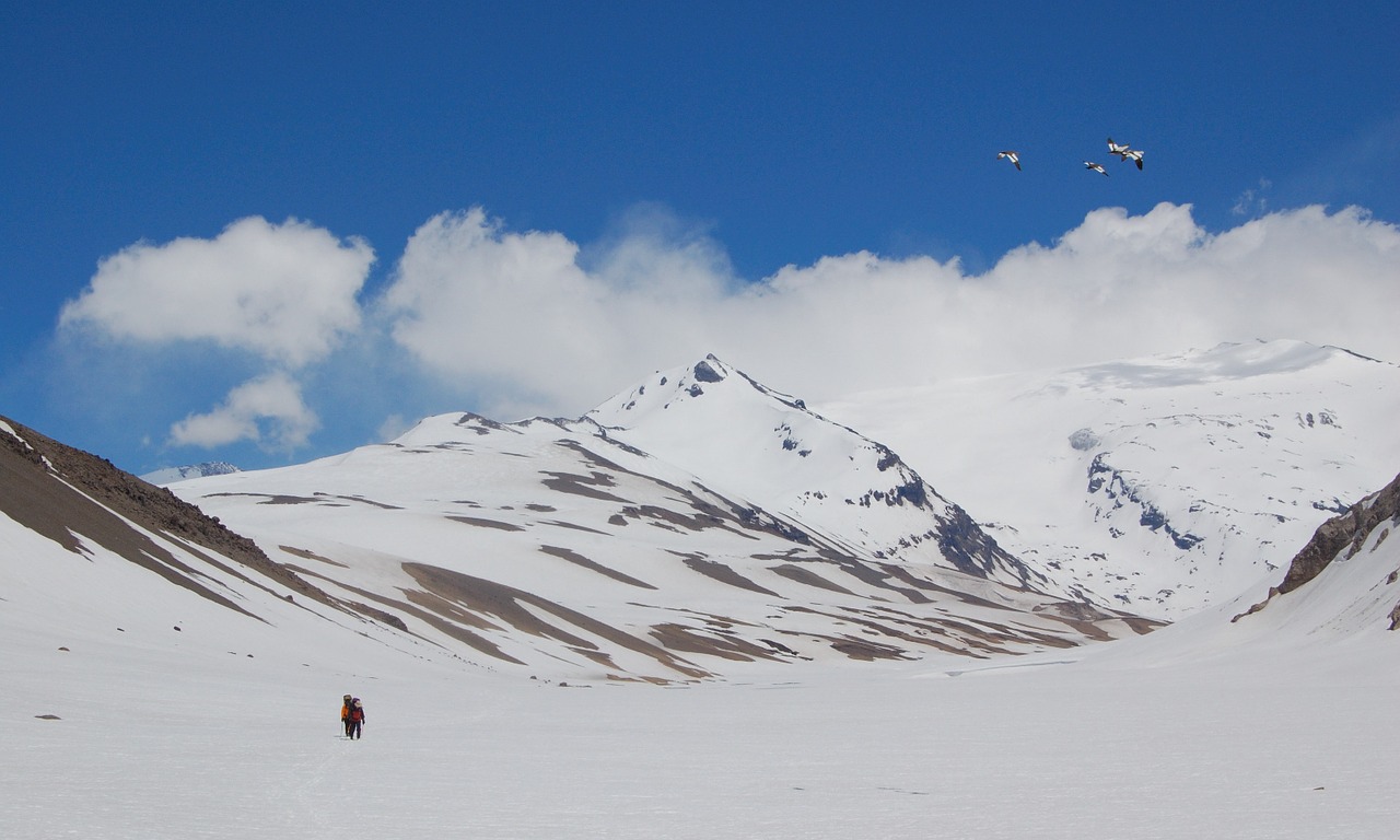 Kalnas, Ledynas, Ledas, Alpinizmas, Pasivaikščiojimas, Argentina, Nemokamos Nuotraukos,  Nemokama Licenzija