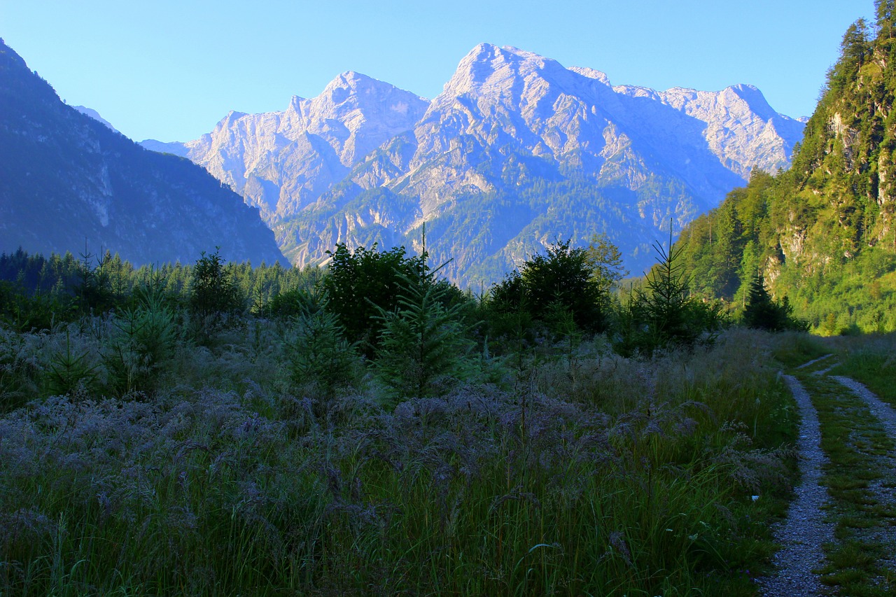 Kalnas, Toli, Pieva, Gamta, Kraštovaizdis, Takas, Austria, Žygiai, Dangus, Kalnai