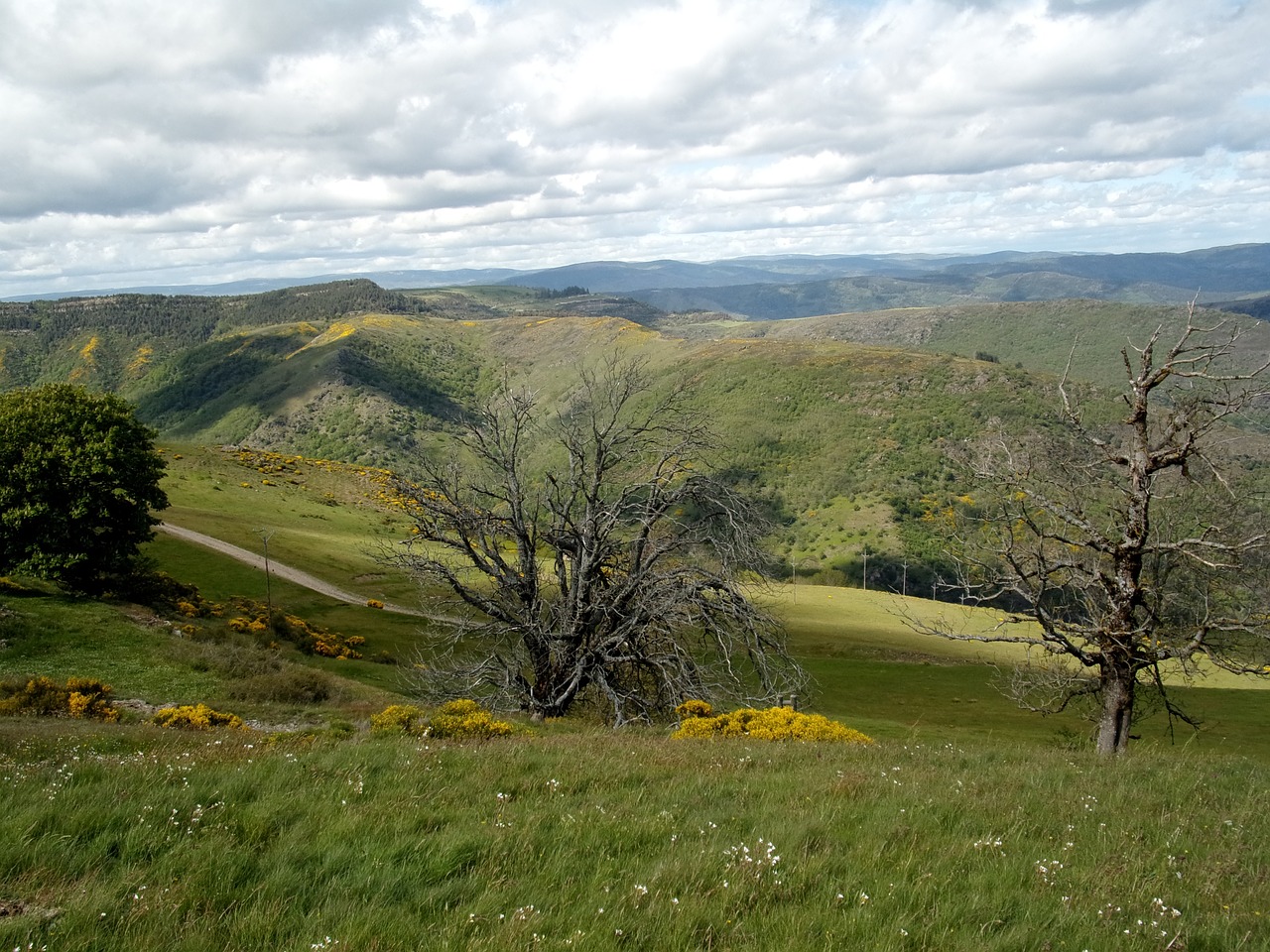 Kalnas, Cévennes, Gamta, Aukščiausiojo Lygio Susitikimas, Medžiai, Kraštovaizdis, Nemokamos Nuotraukos,  Nemokama Licenzija