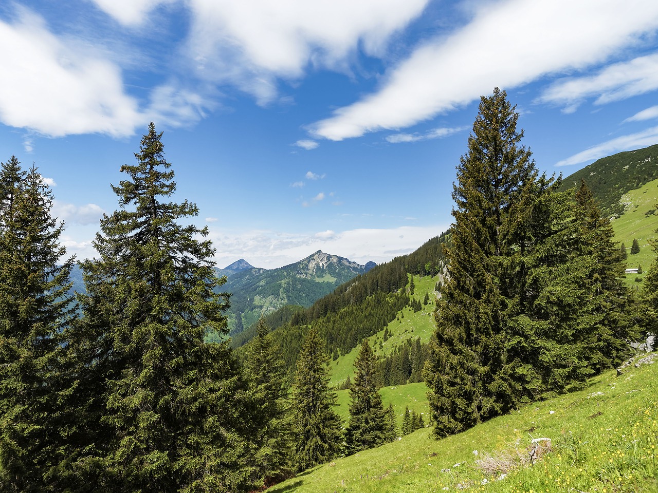 Kalnas, Peizažai, Alpės, Gamta, Tyrol, Austria, Ganykla, Žygiai, Gamtos Alpės, Nemokamos Nuotraukos