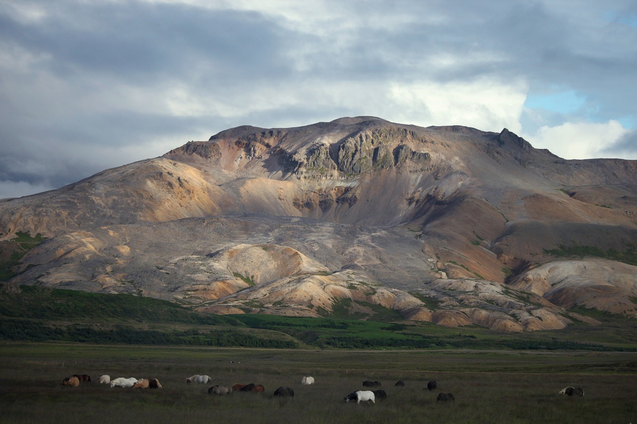 Kalnas, Laukas, Arkliai, Dušai, Gamta, Iceland, Nemokamos Nuotraukos,  Nemokama Licenzija