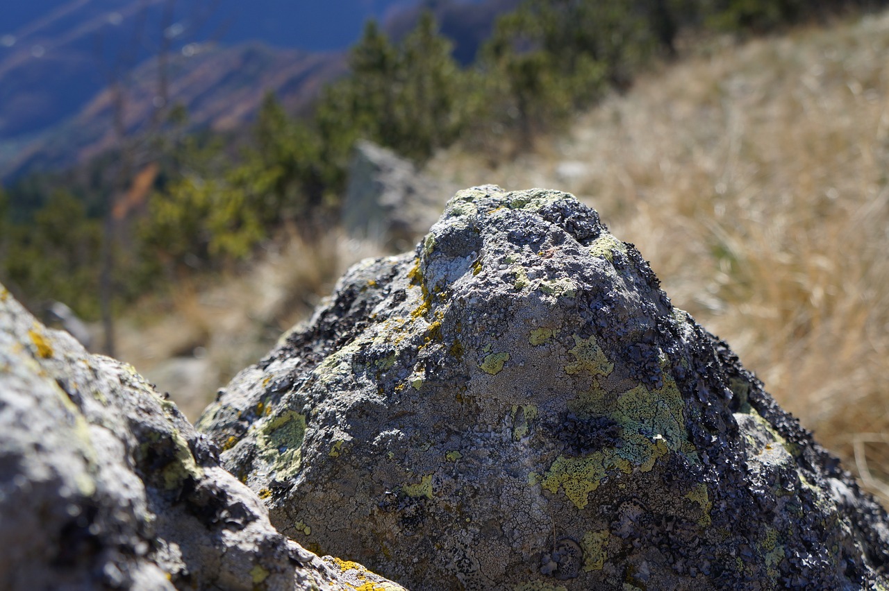 Kalnas, Žygiai, Pierre, France, Walker, Gamta, Kraštovaizdis, Canigou, Nemokamos Nuotraukos,  Nemokama Licenzija