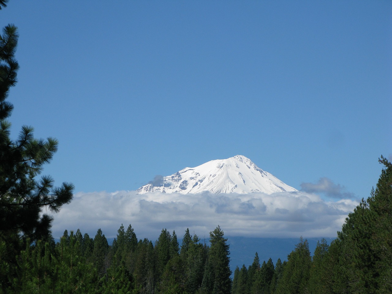 Kalnas, Shasta, Kalifornija, Gamta, Kalnas, Piko, Kaskados, Usa, Dykuma, Balta