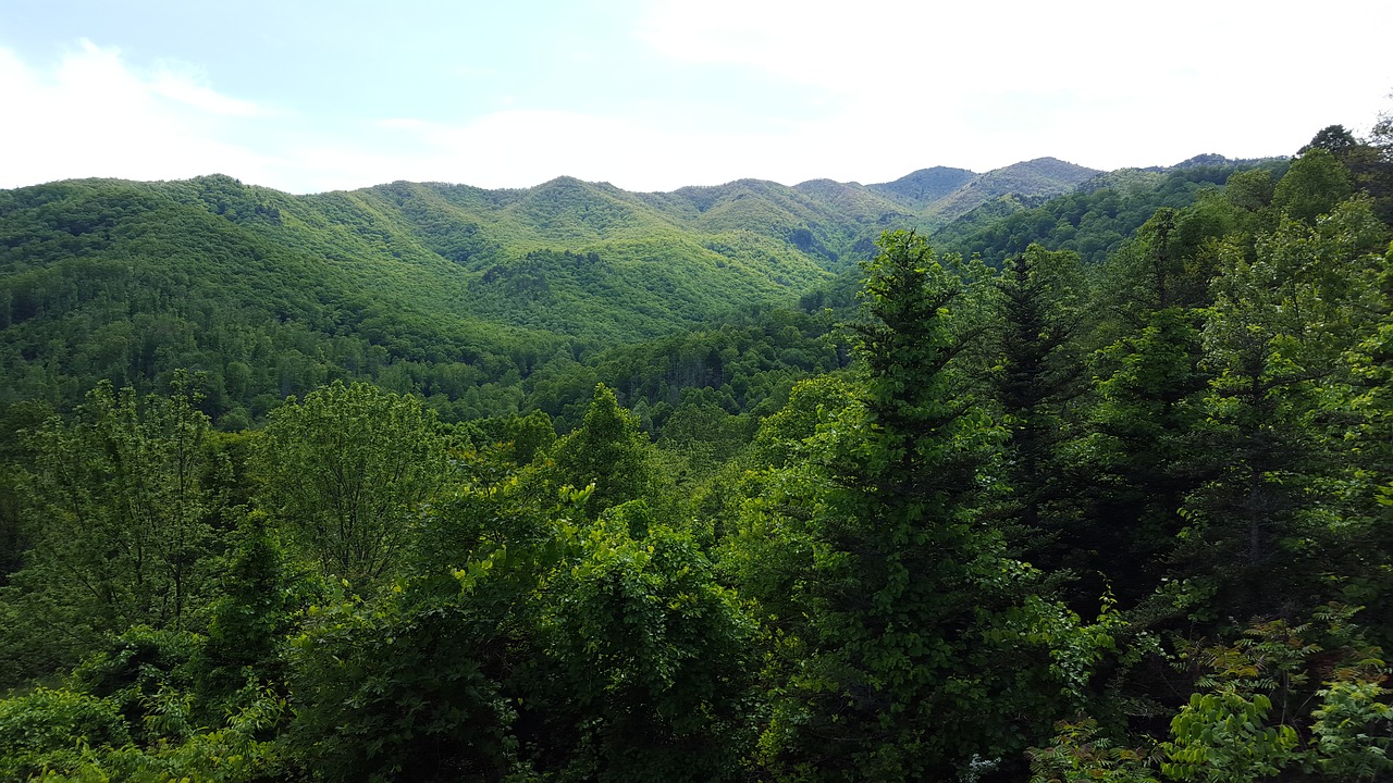 Kalnas, Medis, Žalias, Kraštovaizdis, Gamta, Miškas, Kelionė, Lauke, Kalnas, Sezonas