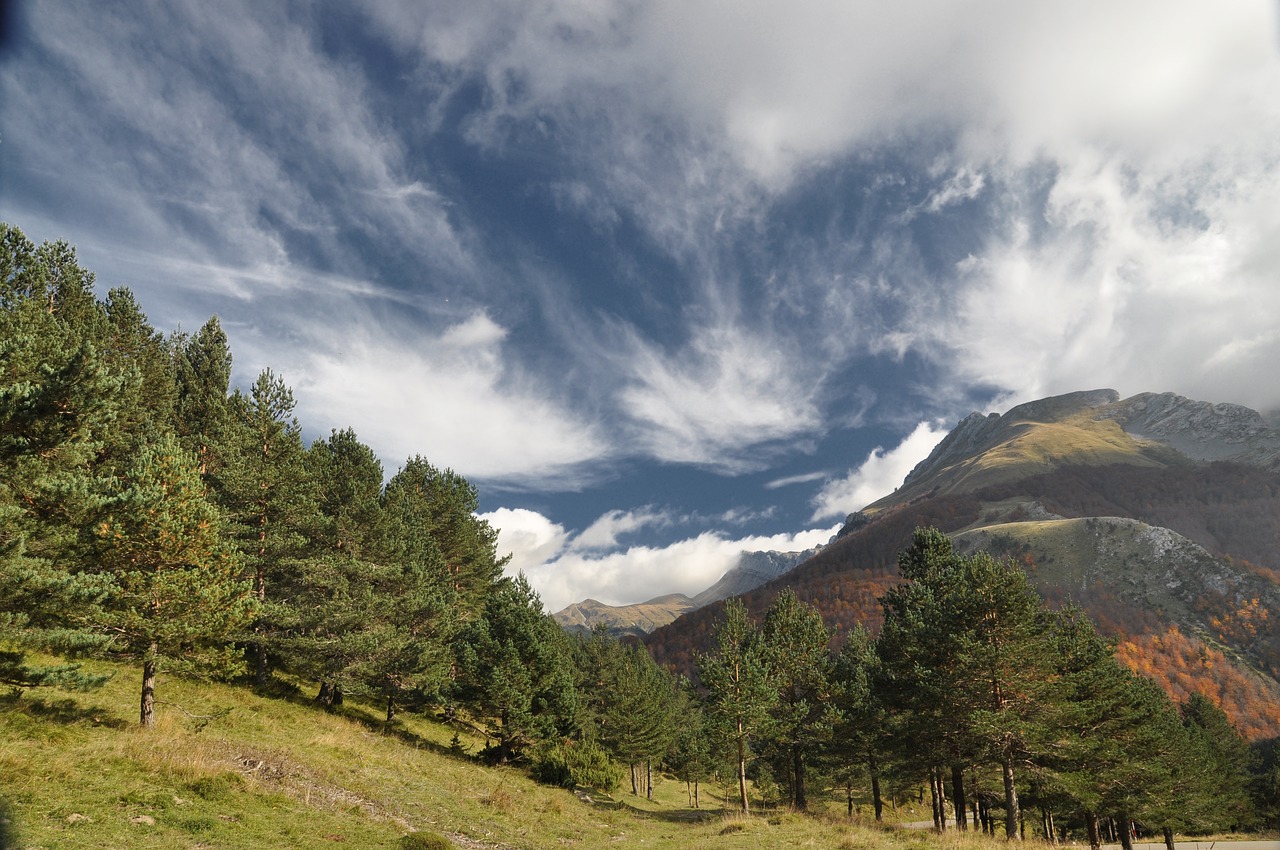 Kalnas, Pyrénées, Ispanija, Huesca, Spygliuočių, Dangus, Debesys, Nemokamos Nuotraukos,  Nemokama Licenzija