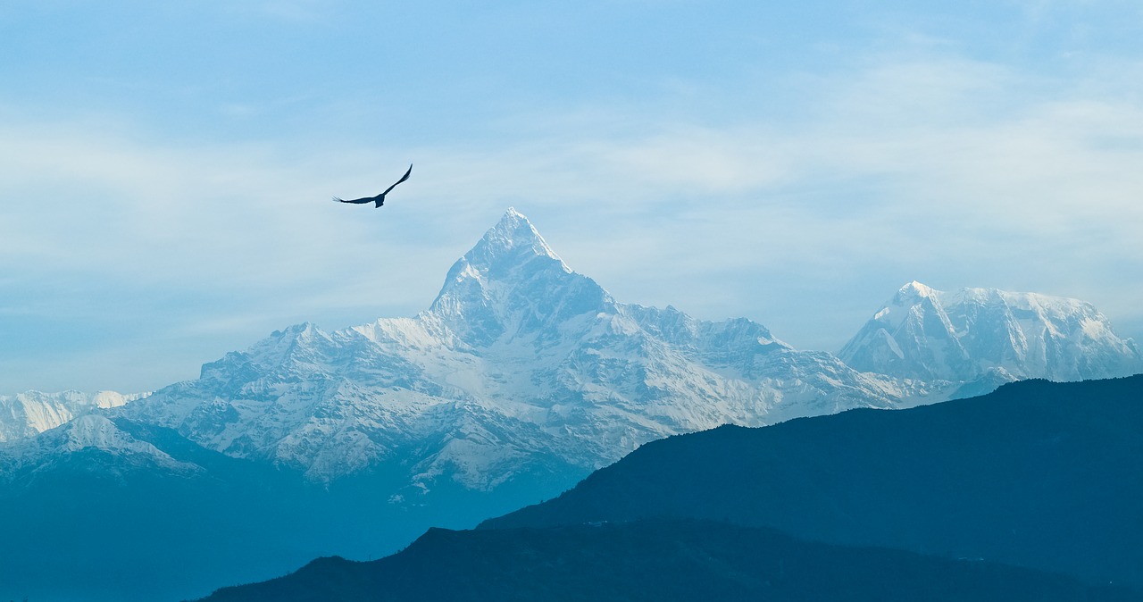 Kalnas, Dangus, Rūkas, Paukštis, Nepalas, Macchapuchhre, Kraštovaizdis, Kalvos, Nemokamos Nuotraukos,  Nemokama Licenzija