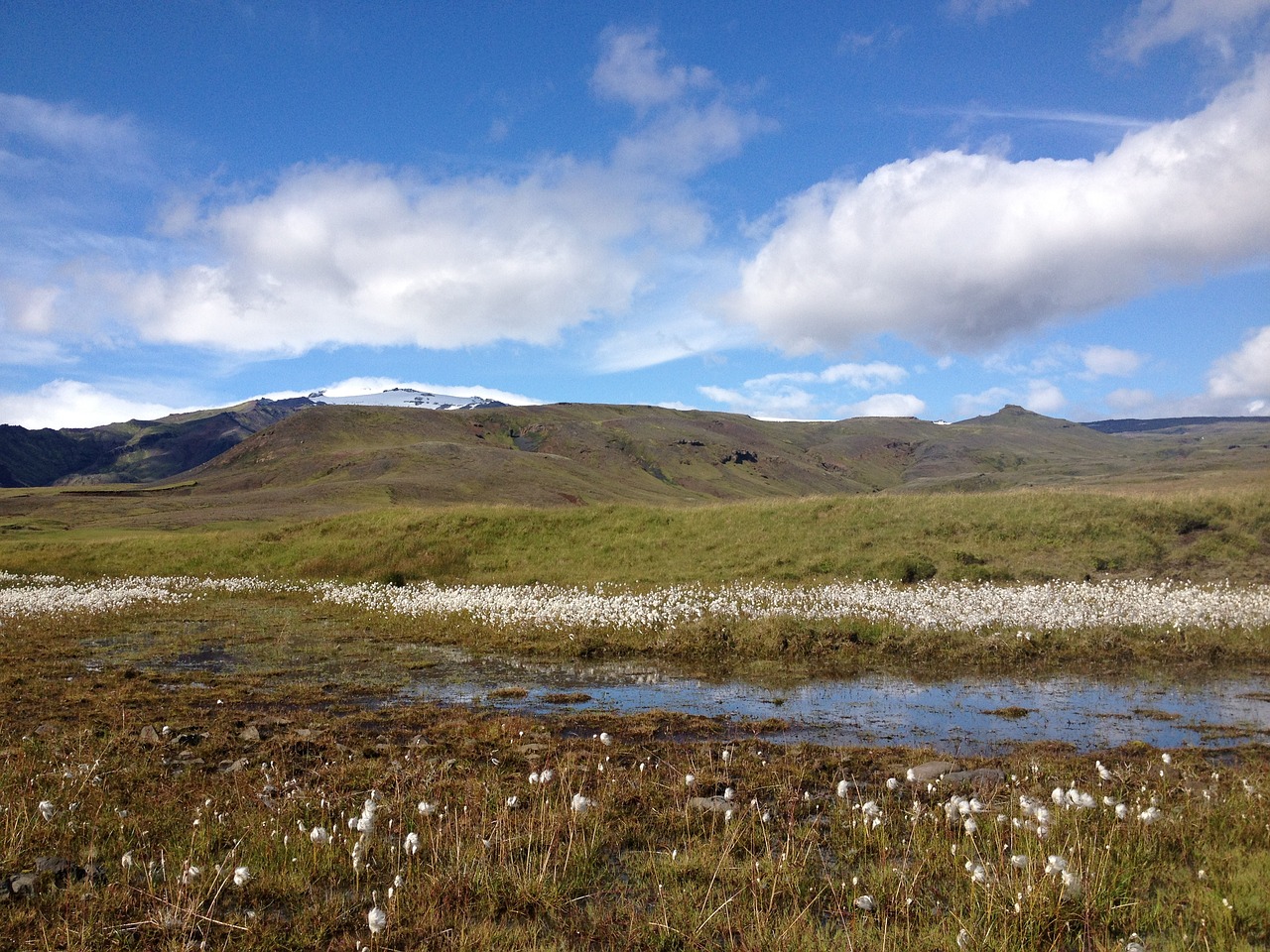 Kalnas, Iceland, Kraštovaizdis, Gėlė, Nemokamos Nuotraukos,  Nemokama Licenzija