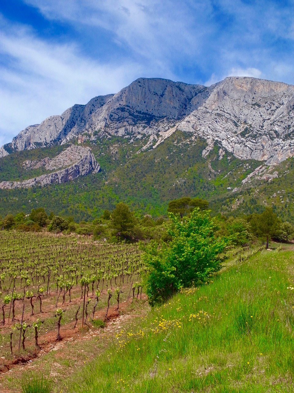 Kalnas, France, Sainte-Victoire, Nemokamos Nuotraukos,  Nemokama Licenzija