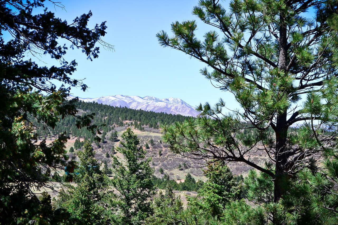 Kalnas, Colorado, Gamta, Uolingas, Kraštovaizdis, Spalvos Kalnai, Vaizdingas, Medžiai, Žygiai, Lauke