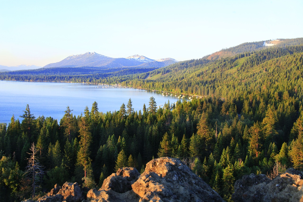 Kalnas, Ežeras, Ežeras Tahoe, Vasara, Vanduo, Gamta, Kraštovaizdis, Medis, Piko, Lauke