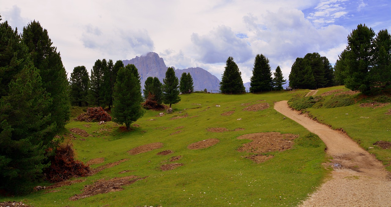 Kalnas, Prato, Dolomitai, Žalias, Debesys, Dangus, Aišku, Medžiai, Gamta, Augalai