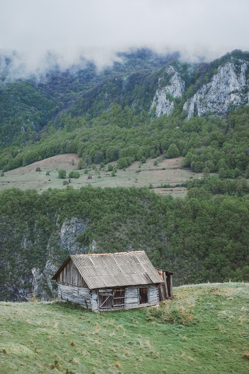 Kalnas, Highland, Debesis, Kraštovaizdis, Gamta, Slėnis, Žalias, Žolė, Medžiai, Miškas