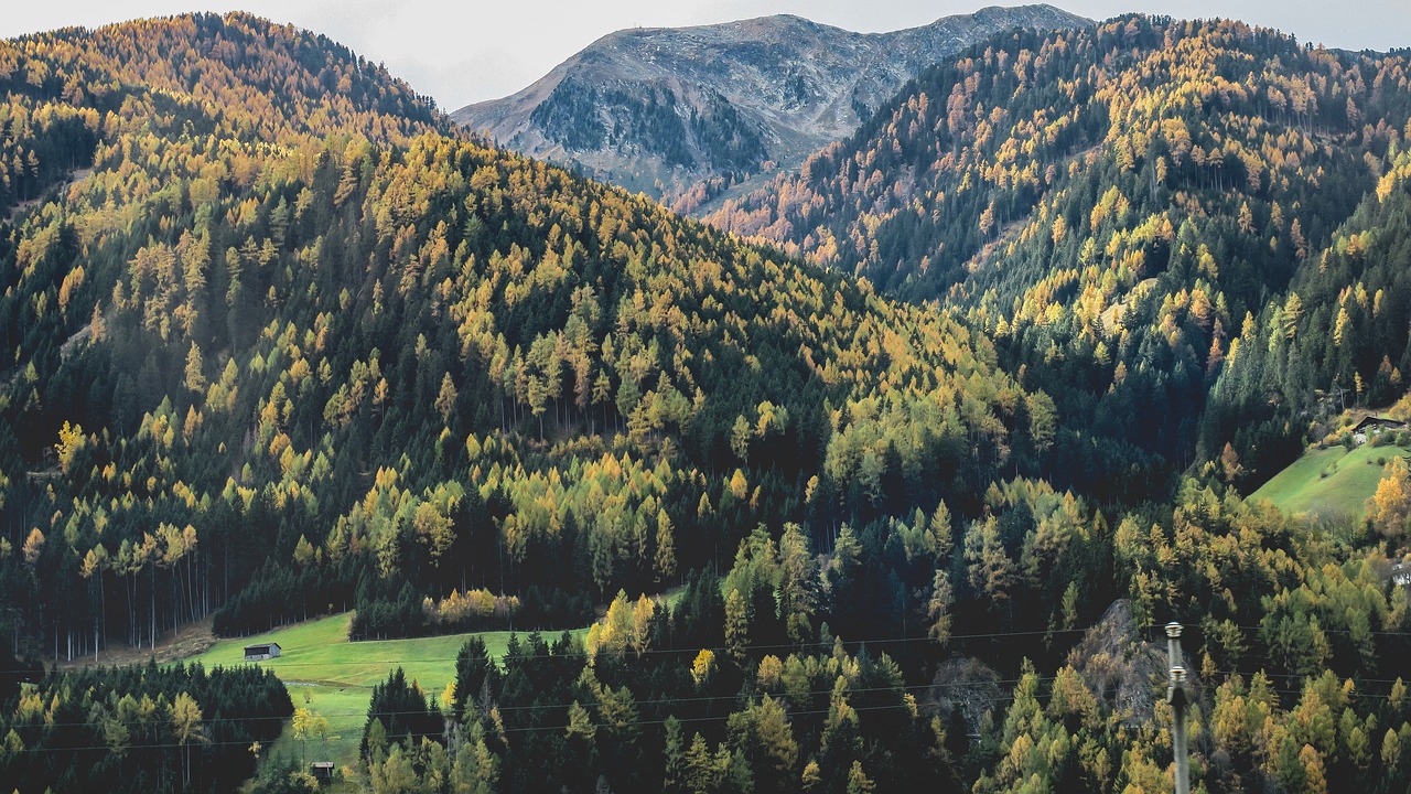 Kalnas, Highland, Medžiai, Augalai, Miškas, Gamta, Kraštovaizdis, Žalias, Žolė, Ruduo