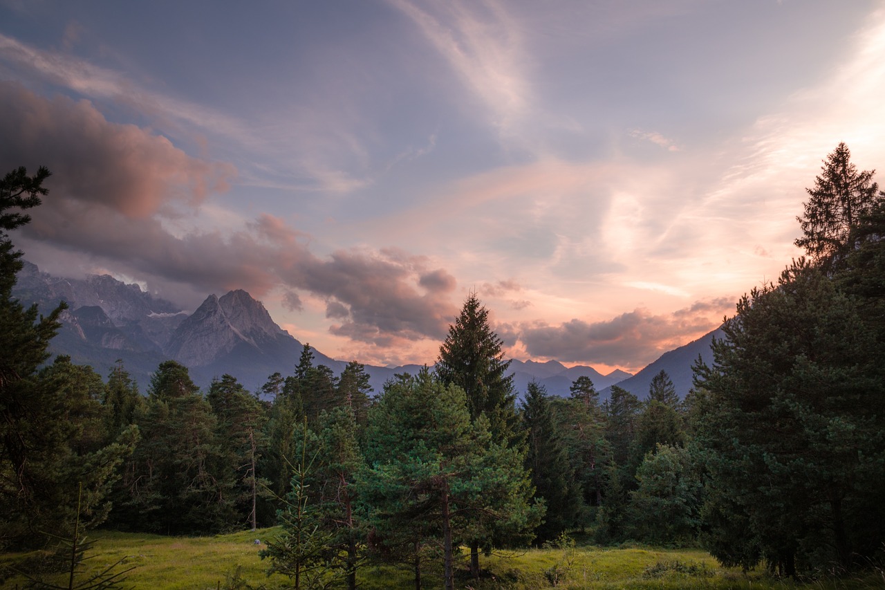 Kalnas, Highland, Medžiai, Augalas, Žalias, Žolė, Gamta, Kraštovaizdis, Debesys, Nemokamos Nuotraukos