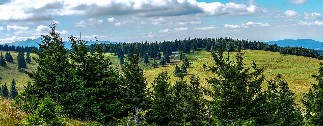 Kalnas, Žalias, Žolė, Ūkis, Medžiai, Augalas, Highland, Laukas, Mėlynas, Dangus