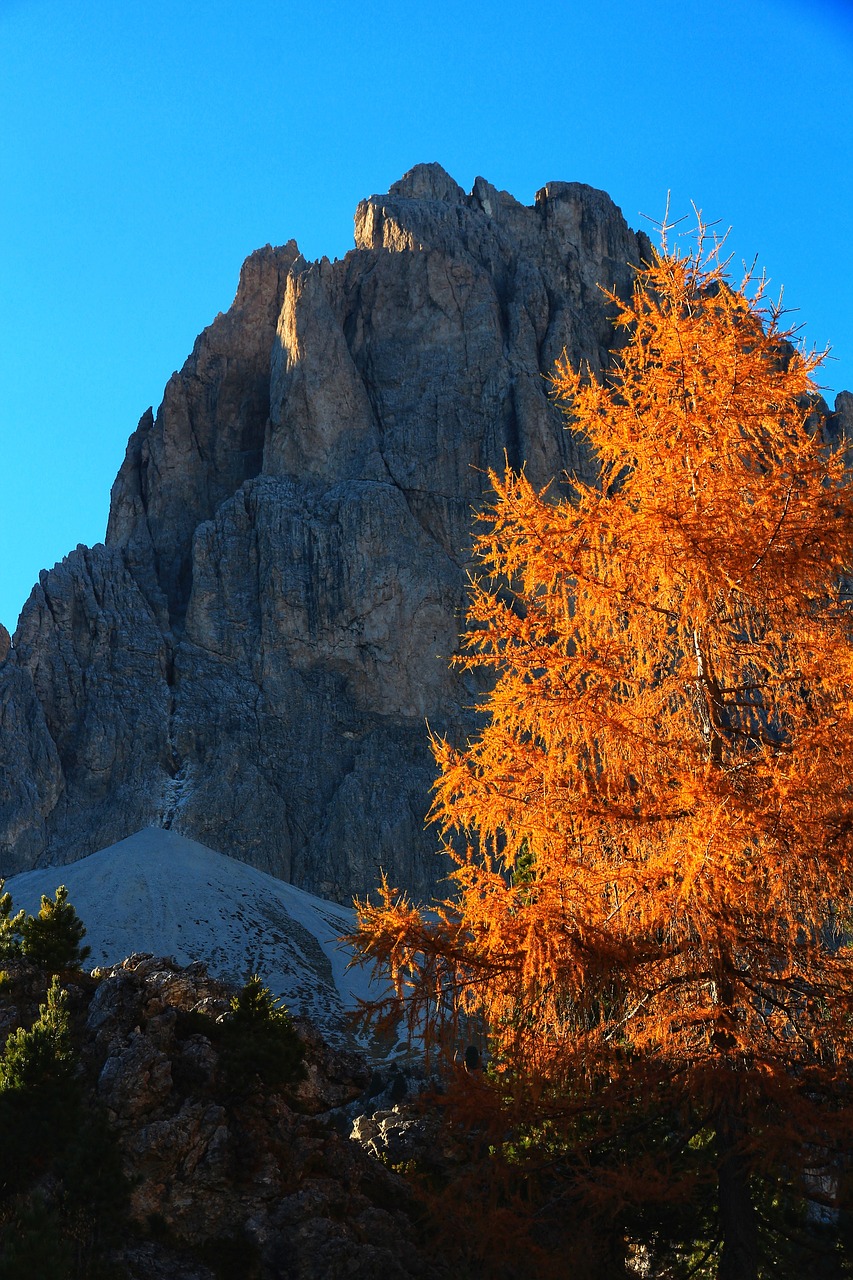 Kalnas, Dolomitai, Ruduo, Medis, Nemokamos Nuotraukos,  Nemokama Licenzija