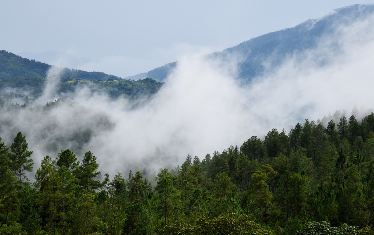 Kalnas, Gamta, Kraštovaizdis, Rūkas, Montes, Dangus, Cordillera, Pušis, Debesys, Kalnas