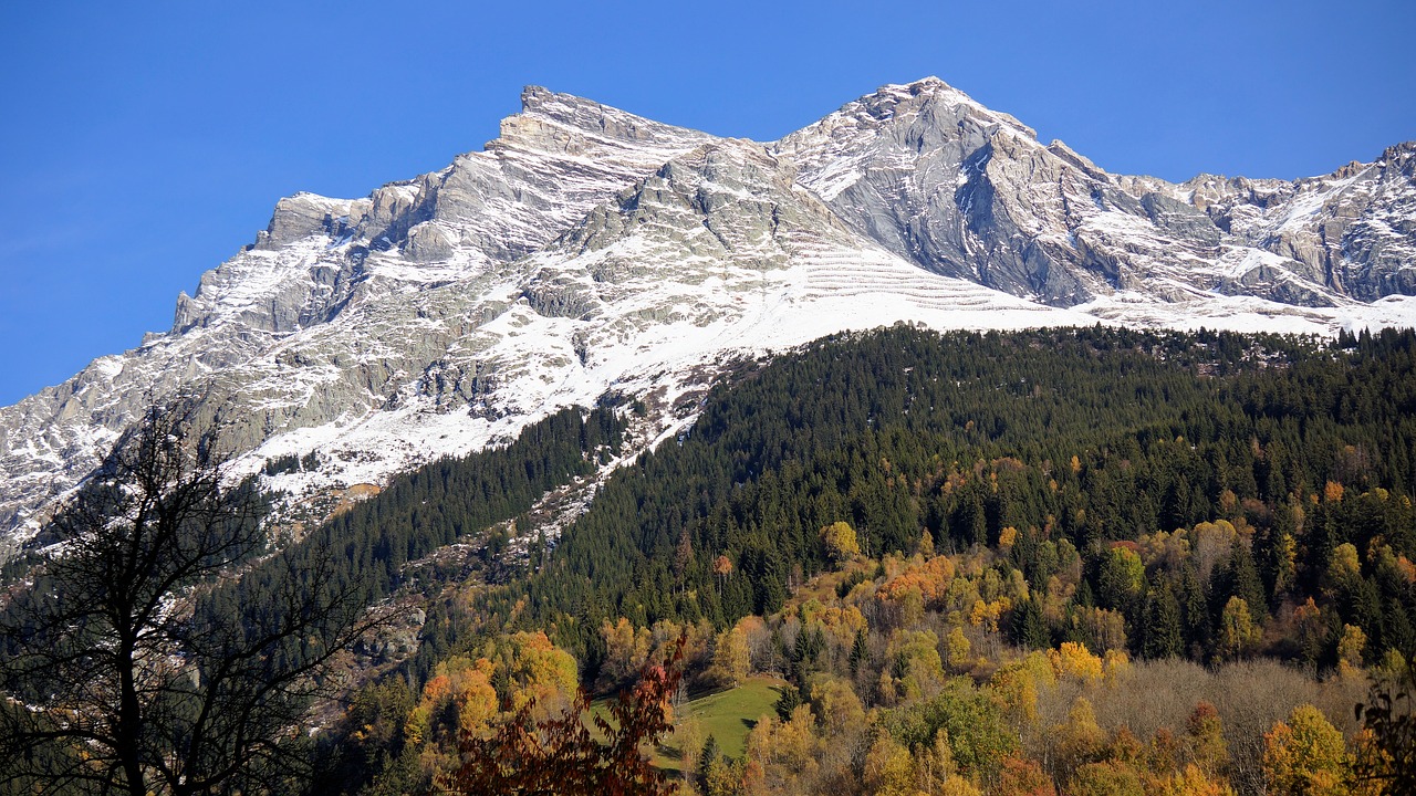 Kalnas, Sniegas, Ruduo, Žiema, Mėlynas Dangus, Alpių, Miškas, Mėlyna Balta, Kraštovaizdis, Šveicarija