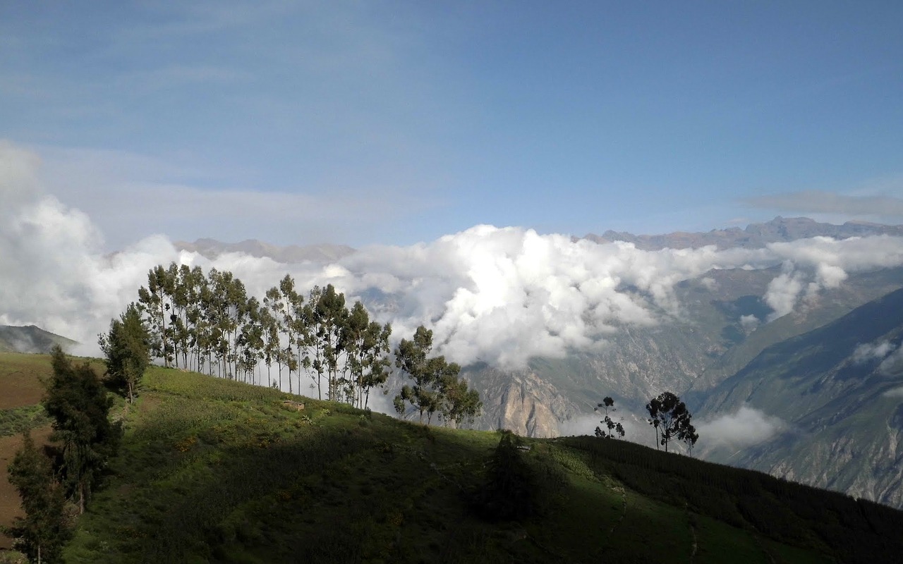 Kalnas,  Gamta,  Panorama,  Kraštovaizdis,  Canyon De Colca,  Be Honoraro Mokesčio, Nemokamos Nuotraukos,  Nemokama Licenzija