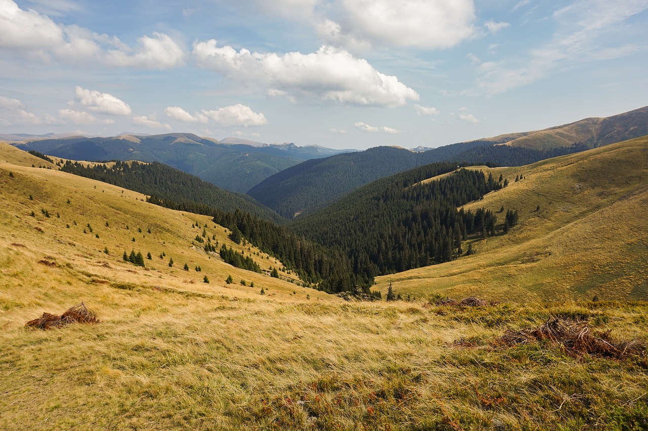 Kalnų,  Ruduo,  Kraštovaizdis, Nemokamos Nuotraukos,  Nemokama Licenzija