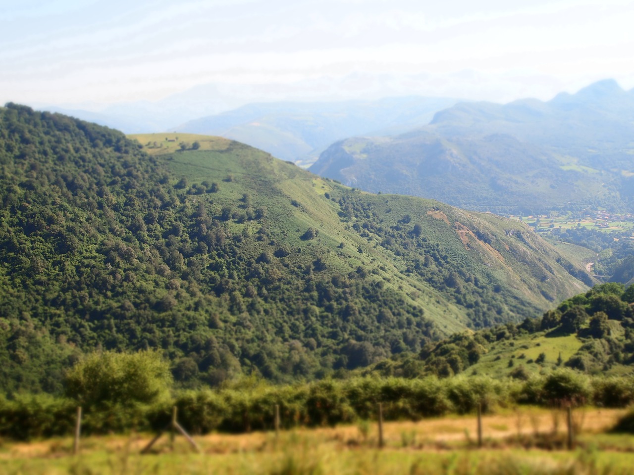 Kalnų,  Augmenija,  Pobūdį,  Kraštovaizdis,  Kalnų Kraštovaizdis, Nemokamos Nuotraukos,  Nemokama Licenzija