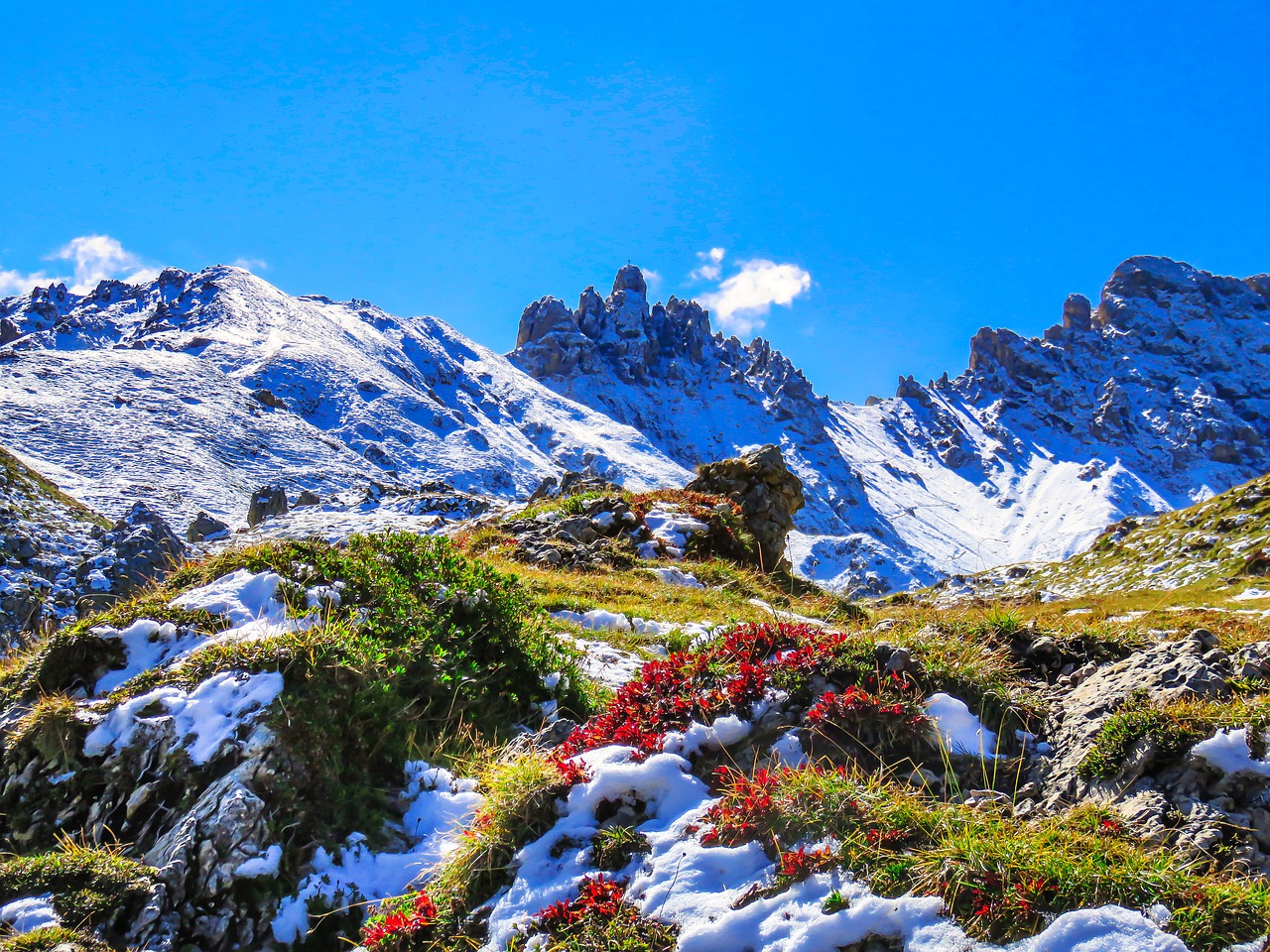 Kalnų,  Pietų Tirolio,  Schlern,  Ross Dantys,  Žygiai,  Alpine, Nemokamos Nuotraukos,  Nemokama Licenzija