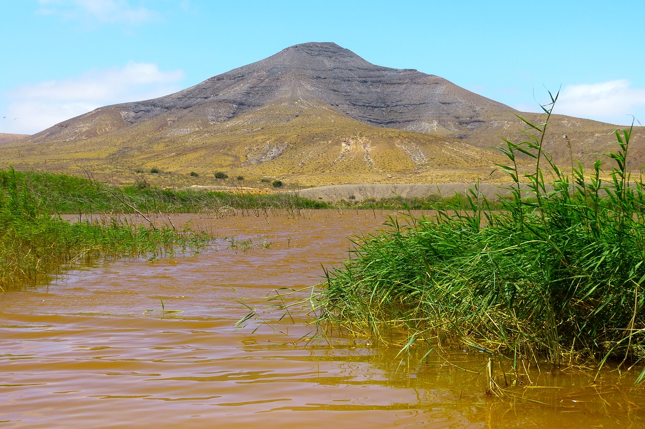 Kalnų,  Vandens,  Kraštovaizdis,  Ežeras,  Kraštovaizdžio Vandens,  Žinoma,  Pobūdį,  Reed,  Kanarų Salos,  Fuerteventura