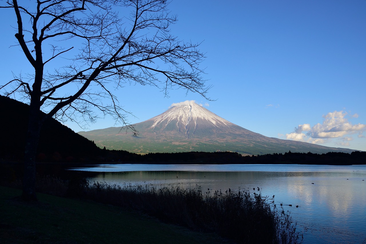 Kalnų,  Japonija,  Kalvos,  Shizuoka,  Dangus,  Ežeras,  Fuji,  Medis,  Siluetas,  Šešėlis