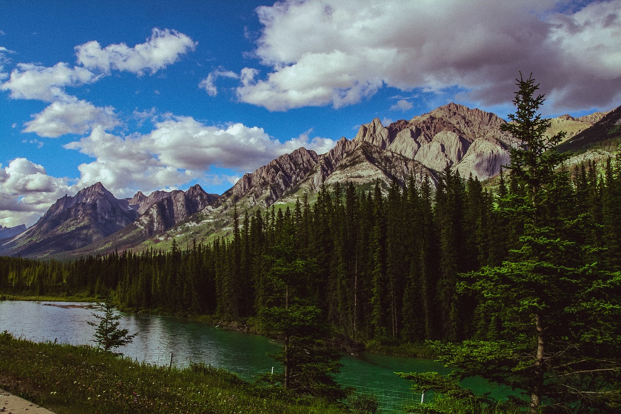 Kalnų,  Miškas,  Rockies,  Kraštovaizdis, Nemokamos Nuotraukos,  Nemokama Licenzija