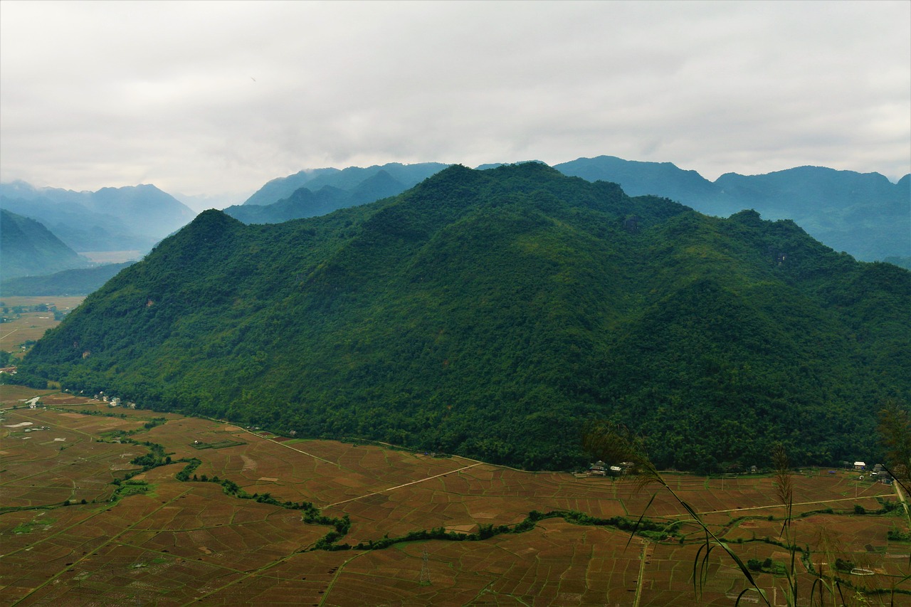 Kalnų,  Pobūdį,  Vietnamas,  Kraštovaizdis,  Miškas,  Dangus,  Debesys,  Medžiai,  Fotografija, Nemokamos Nuotraukos