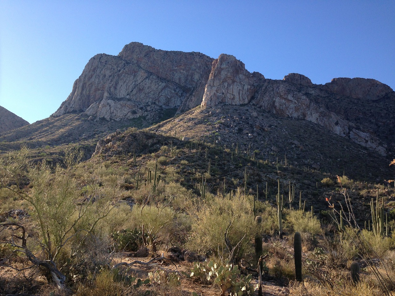 Kalnas, Dykuma, Arizona, Nemokamos Nuotraukos,  Nemokama Licenzija
