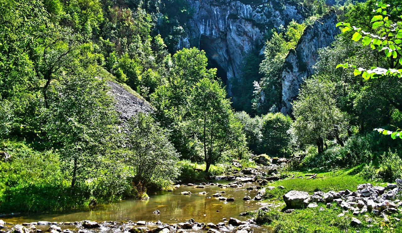 Kalnas, Medžiai, Upė, Gamta, Kraštovaizdis, Medis, Miškas, Kelionė, Lauke, Vaizdas