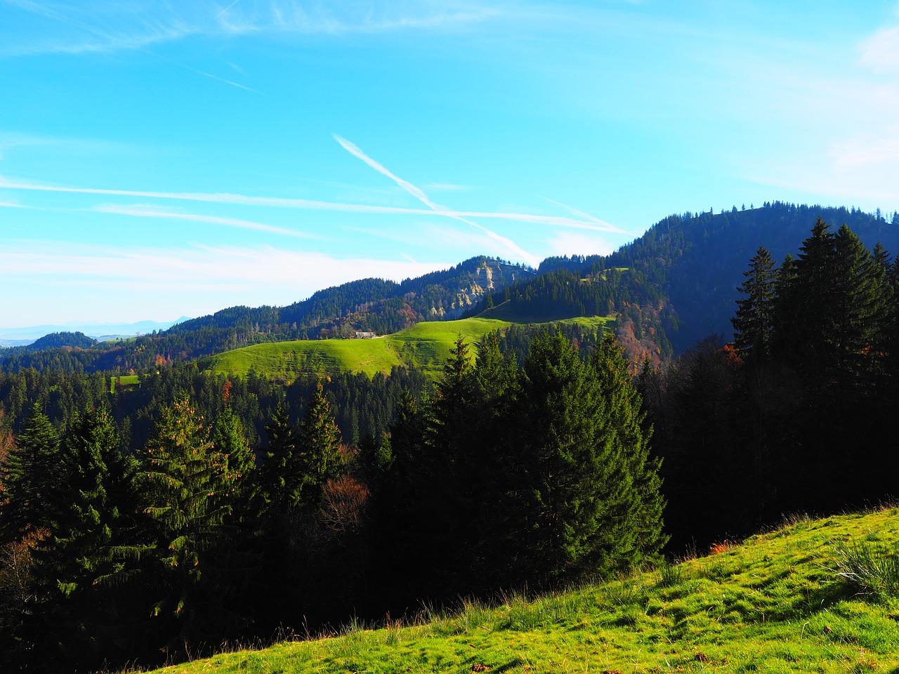 Kalnas, Dubuo, Žygis, Kelionės Tikslas, Šveicarija, Kalnų Viršūnių Susitikimas, Napfbergland, Kalnas, Kalvos, Eržilas